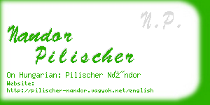 nandor pilischer business card